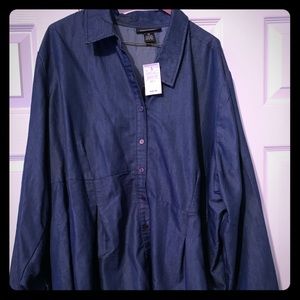 Ashley Stewart Denim Shirt Dress